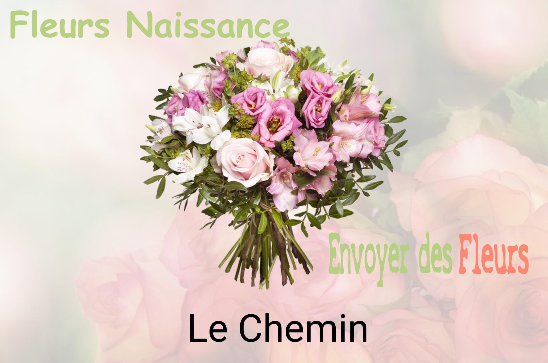 Bouquet de fleurs de naissance livré à Le Chemin